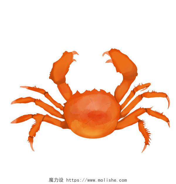 中秋节美味可食用的大闸蟹的png素材中秋节大闸蟹
